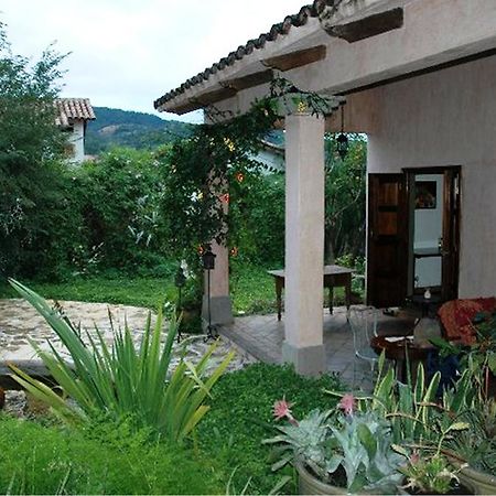 コパン La Casa Rosada Bed & Breakfast エクステリア 写真